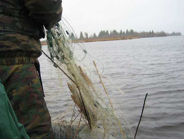 Рыболовы-браконьеры задержаны в последних числах апреля в Осиповичском и Быховском районах