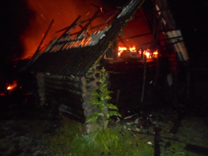 За 10 месяцев в Могилевской области при пожарах погибли 60 человек