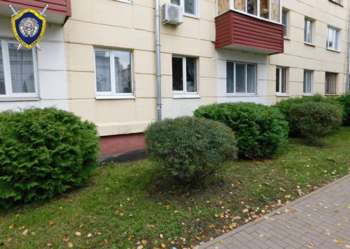 Двухлетний ребенок выпал из окна пятого этажа в Бобруйске