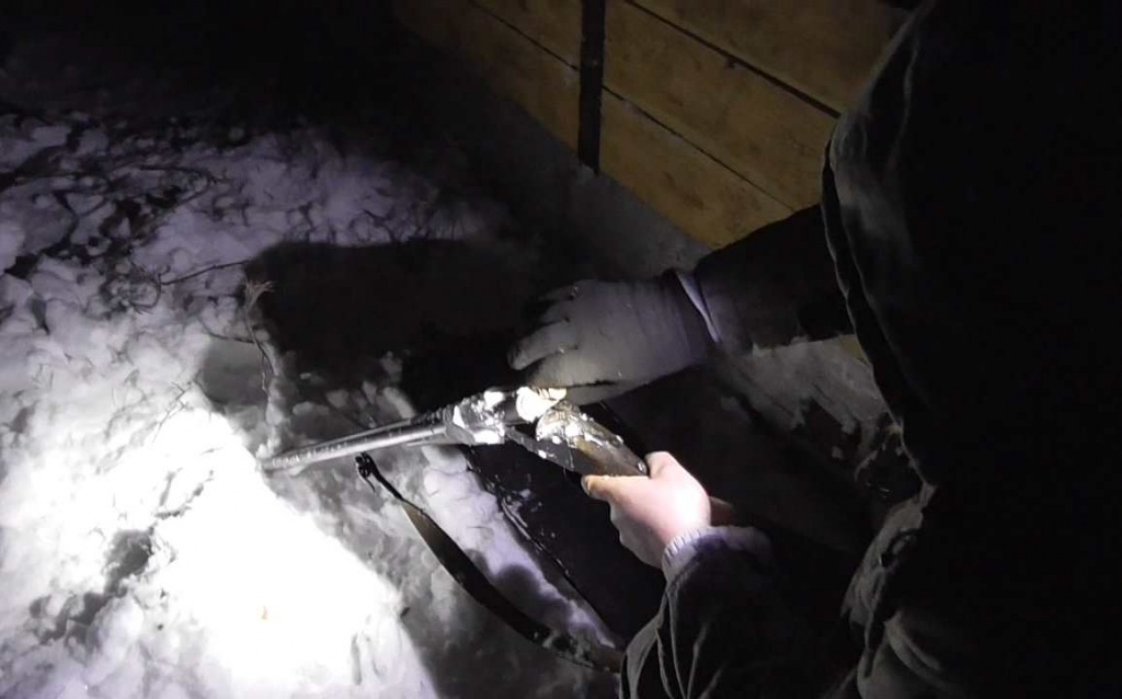 Браконьеру из Чаус назначили два года лишения свободы, крупный штраф и лишили права охоты