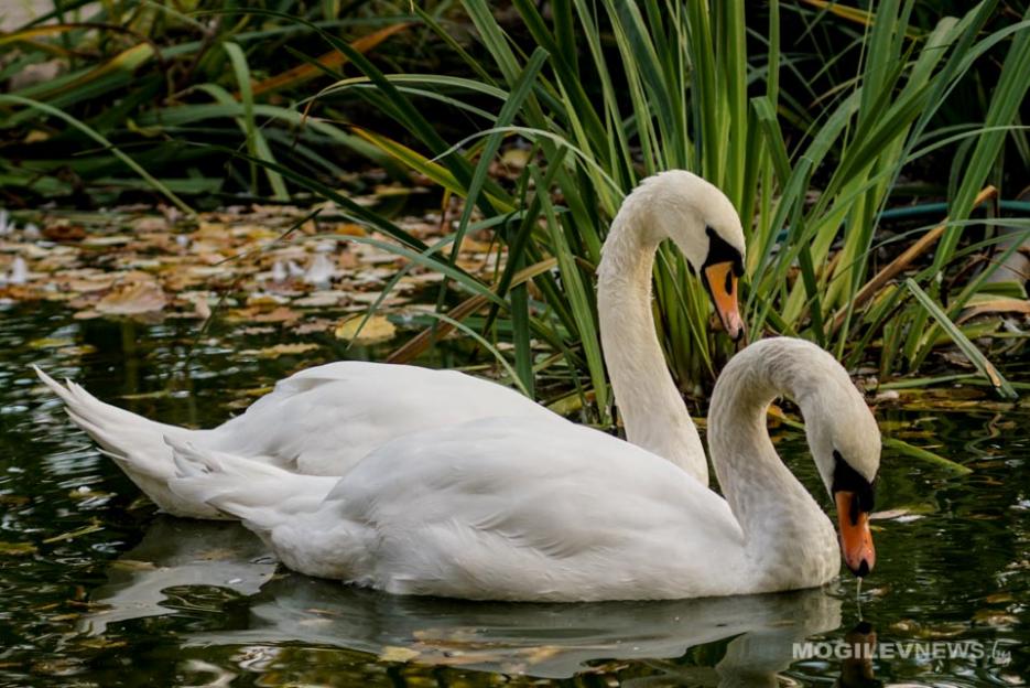 Погода на выходные: от +16°С днем, местами дожди