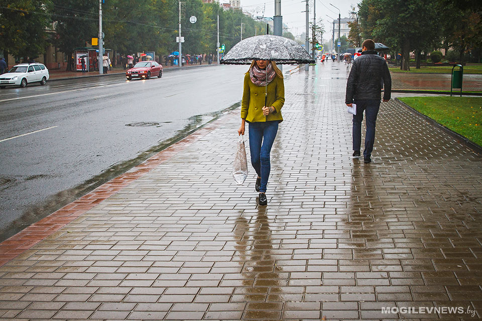 Сильный ветер ожидается в понедельник, 16 сентября, в Могилевской области