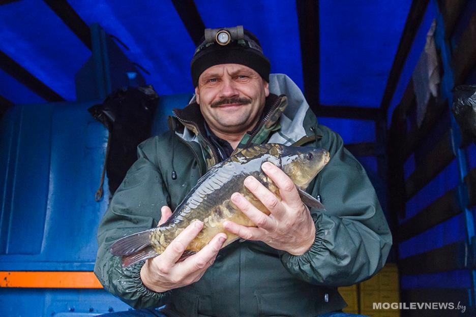 Рыба и овощи занимают последнее место в «продуктовой корзине» жителей Могилевской области