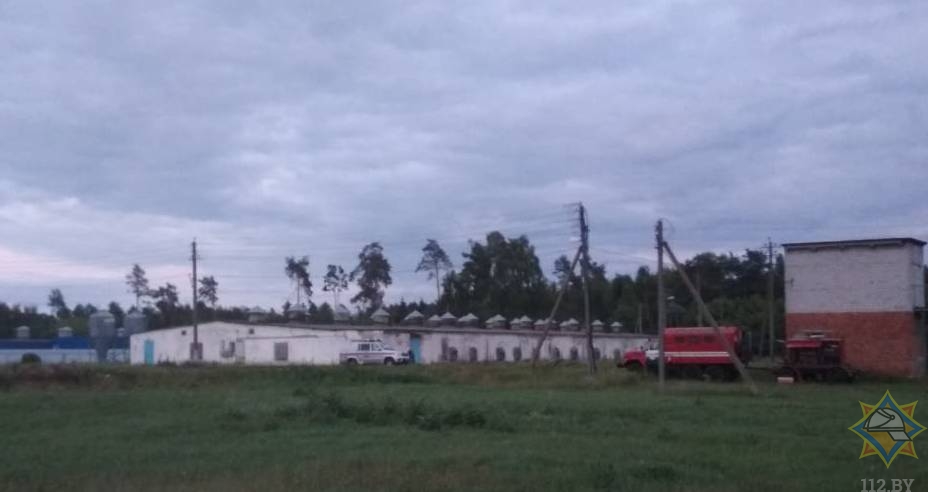 Отключение электроснабжения произошло на птицефабрике в Бобруйском районе
