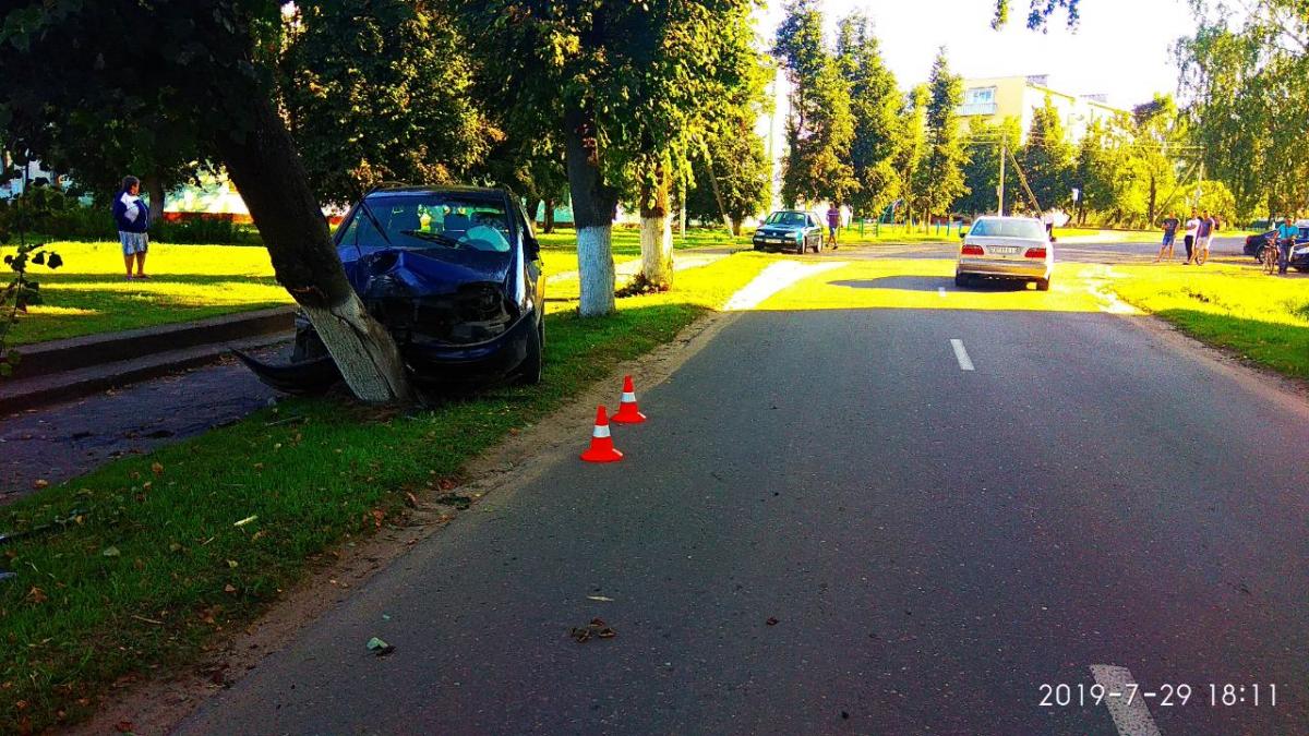 Водитель «Сеата» в Шклове не справился с управлением и врезался в дерево