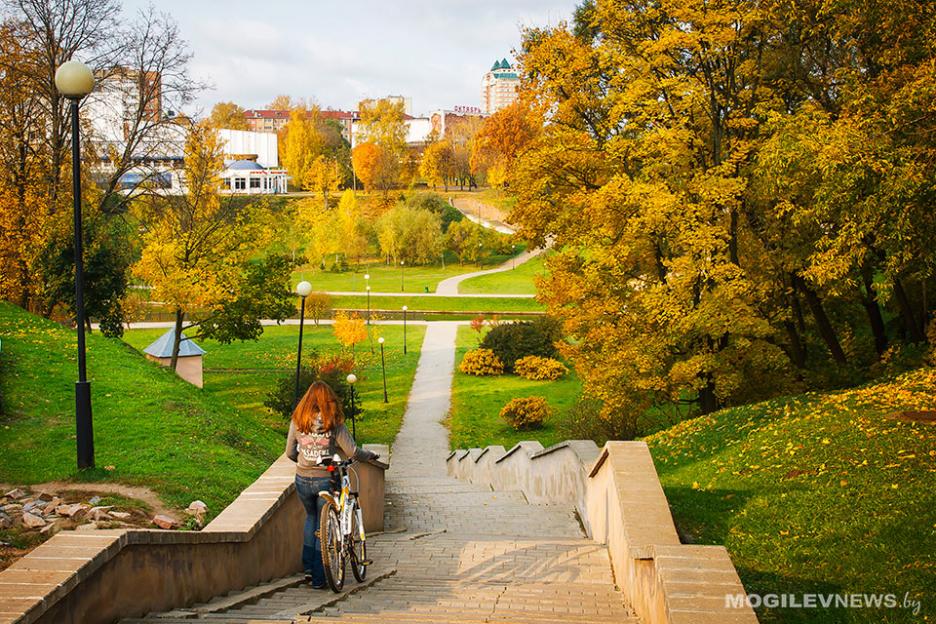Ночью - заморозки, днем - без осадков и до +14°С ожидается в понедельник в Могилевской области