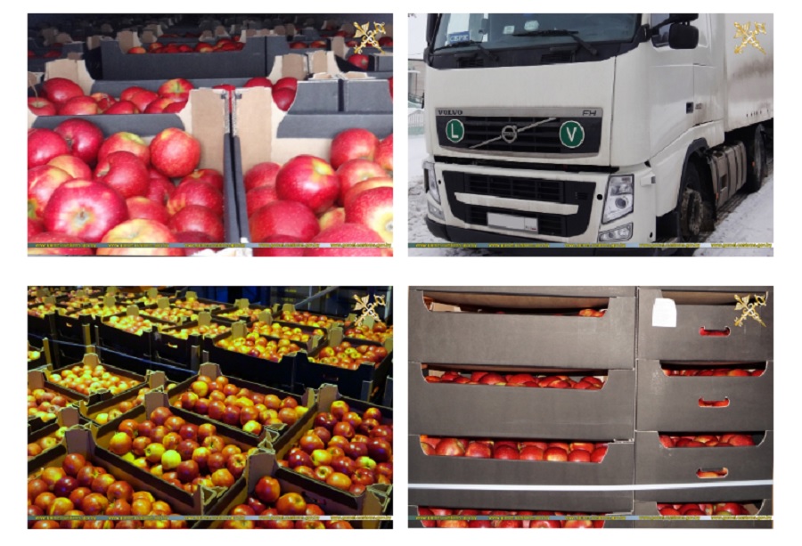 Яблоки на 60 тысяч рублей пытались незаконно вывезти из Беларуси российские фирмы