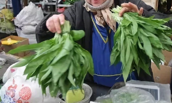 Почти 13 тысяч рублей может составить штраф за сбор первоцветов