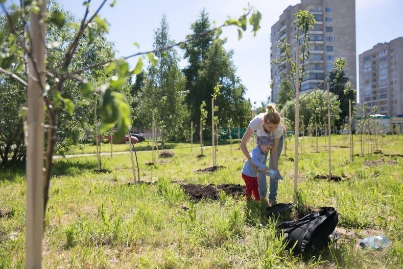 Поливать молодые деревья в жару в своих дворах призывают могилевчан