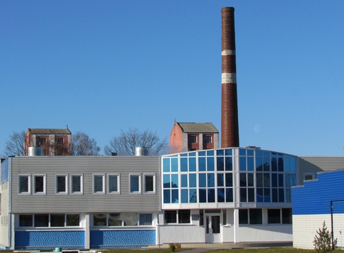 Быховский консервно-овощесушильный завод, находящийся в режиме санации, вышел на прибыльную работу