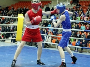 Четыре золотые медали выиграли представители Могилевщины на международном юношеском турнире по боксу