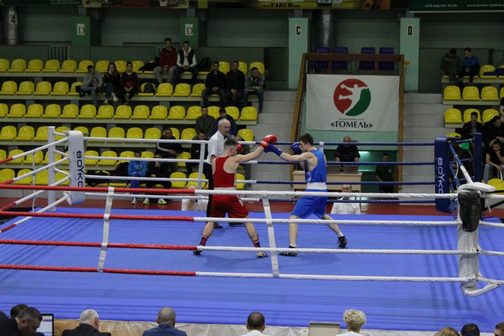 Представители Могилевщины выиграли награды на чемпионате Беларуси по боксу