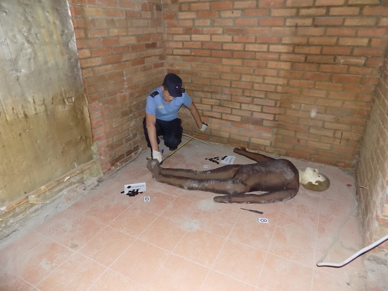 Учебно-методический семинар судебных экспертов прошел в Могилеве