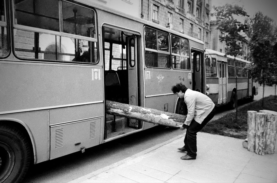 Золотой  медалью Северного   Союза  фотографов награжден могилевский фотограф Василий Титов