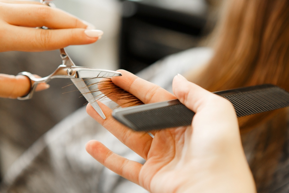 В 1,6 раза увеличилось количество самозанятых граждан в Могилевской области