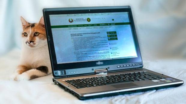 Обновлен функционал кабинета плательщика на сайте МНС