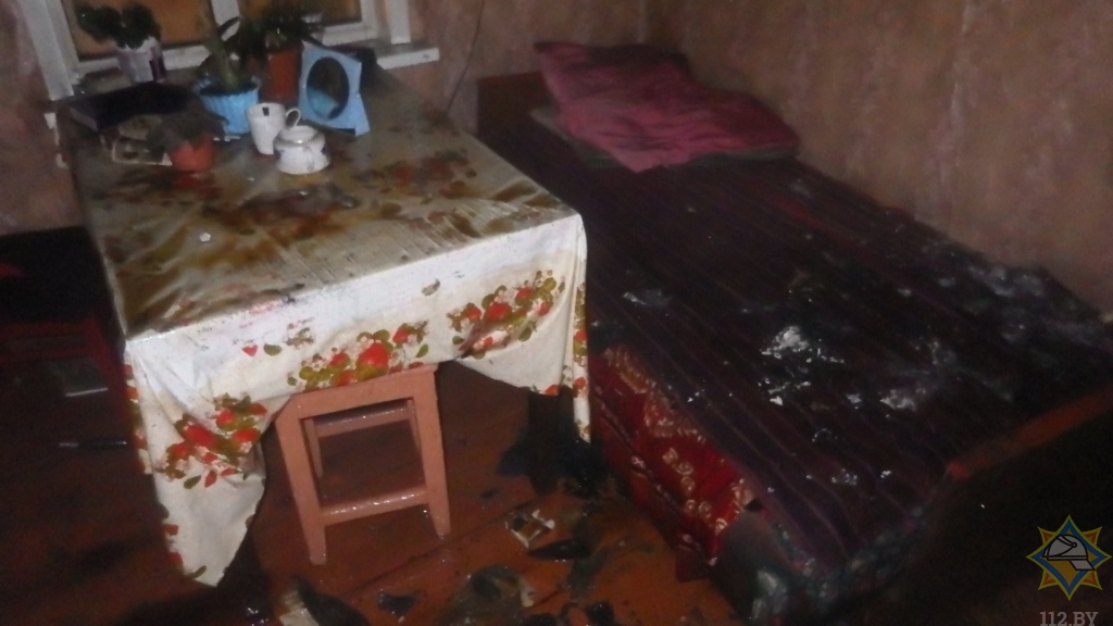 Причиной пожара с гибелью в Могилевском районе стал поджог