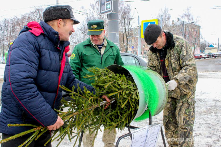 Места проведения елочных базаров определены в Могилеве