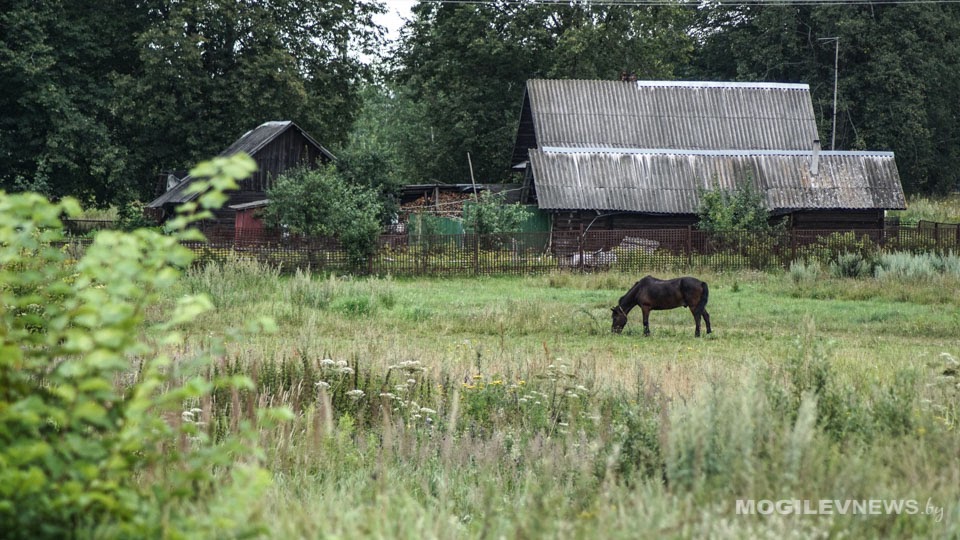 Онлайн-проект «О малой родине с любовью» запускает могилевская библиотека