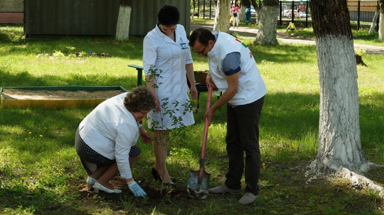 Плодово-ягодная аллея появилась возле бобруйской детской больницы