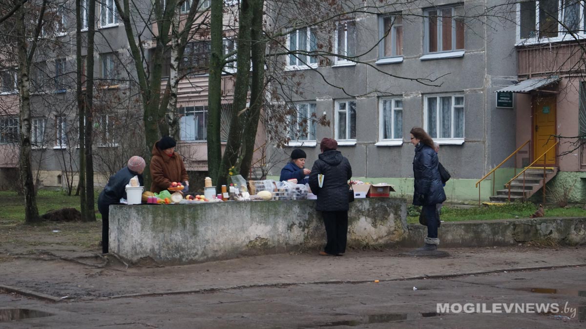 32% поступлений в бюджет Могилевской области уплатили субъекты среднего и малого бизнеса