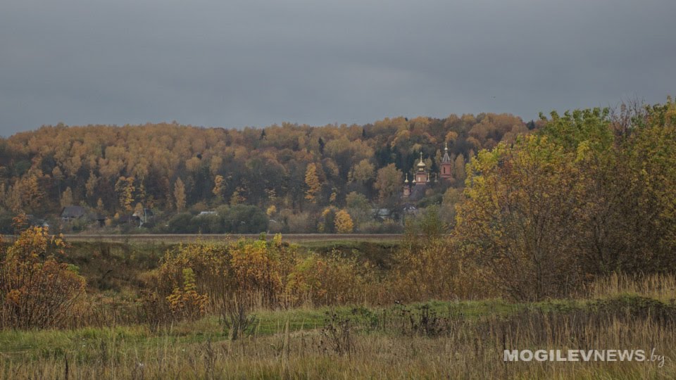 Погода на выходные: потеплеет, но пройдут дожди
