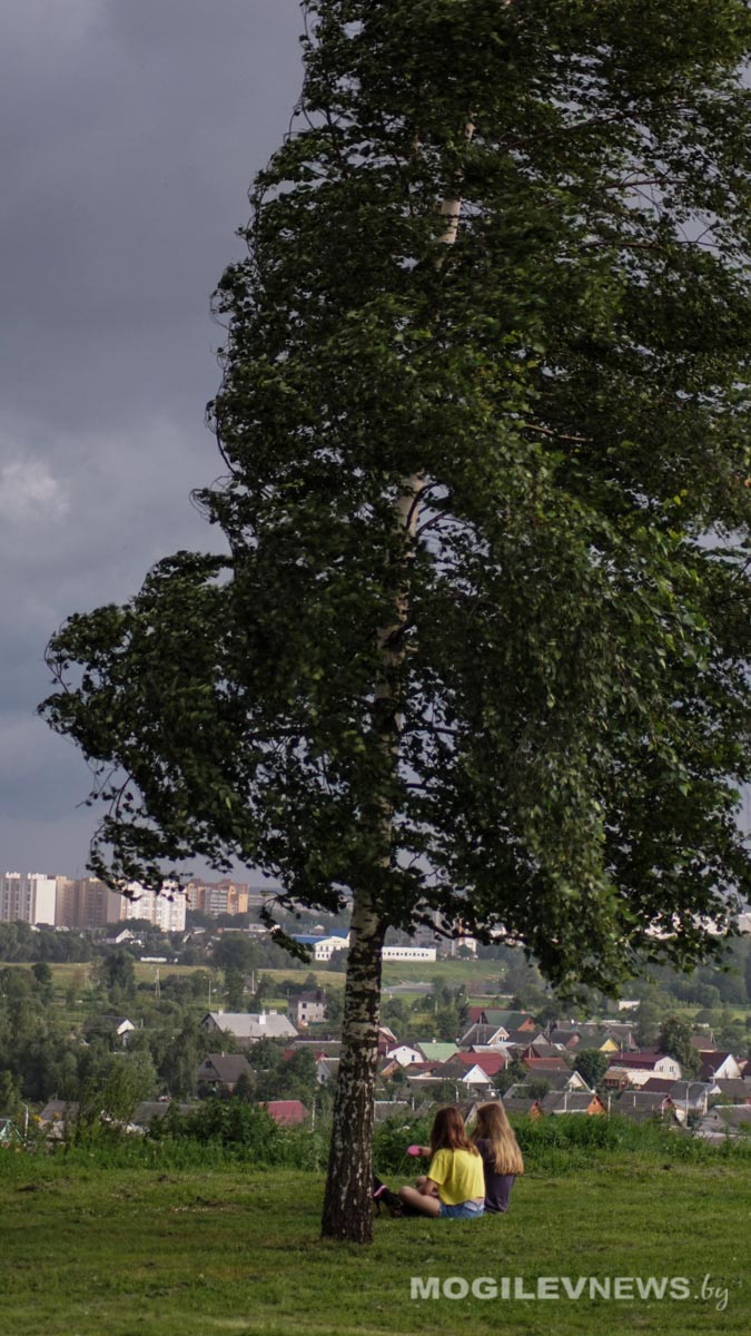 Сильные дожди и ветер до 20 м/с ожидаются в воскресенье в Могилевской области