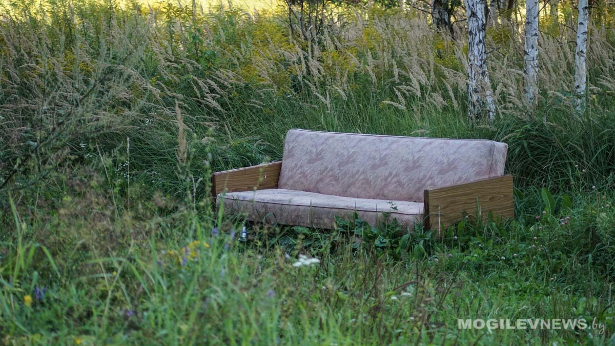 Подворье частное — город общий