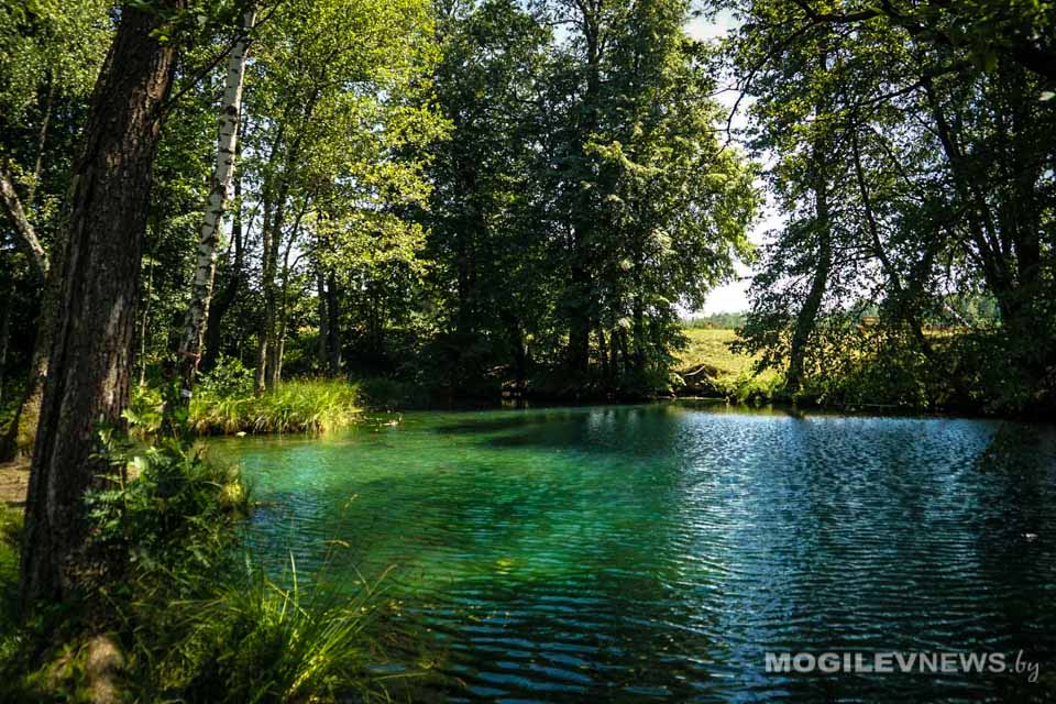 Семинар-учеба по Программе малых грантов Глобального экологического фонда прошел в Славгороде
