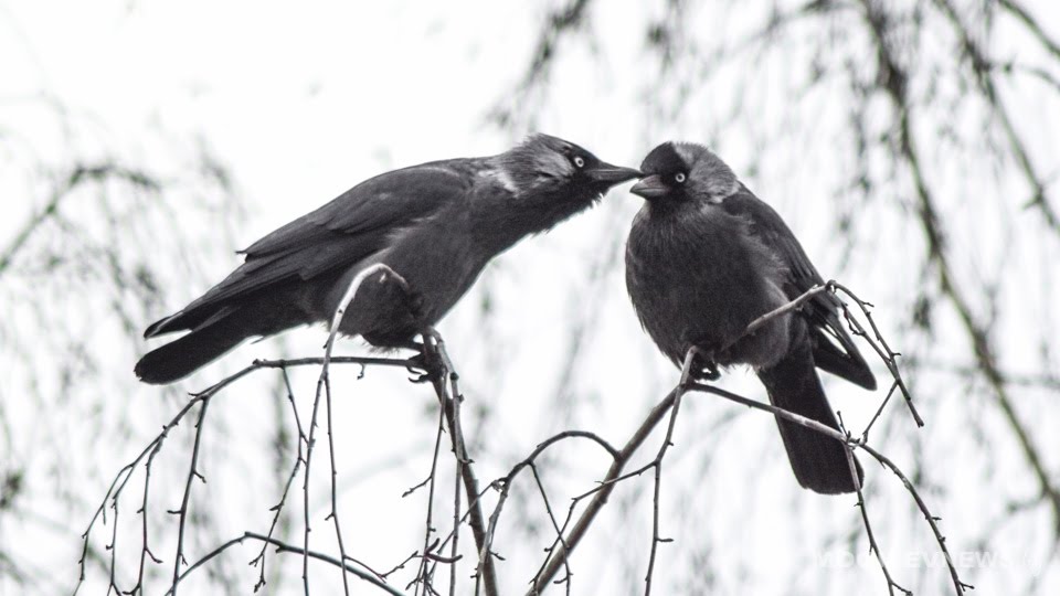 Холодная погода сохранится в первой половине следующей недели