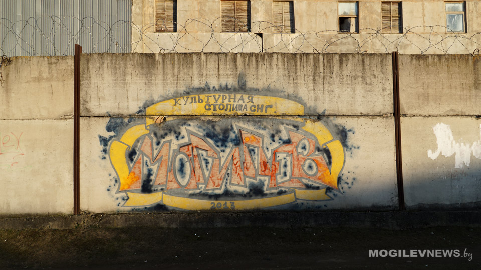 Ревизию зданий на наличие хулиганских надписей проведут в Могилеве