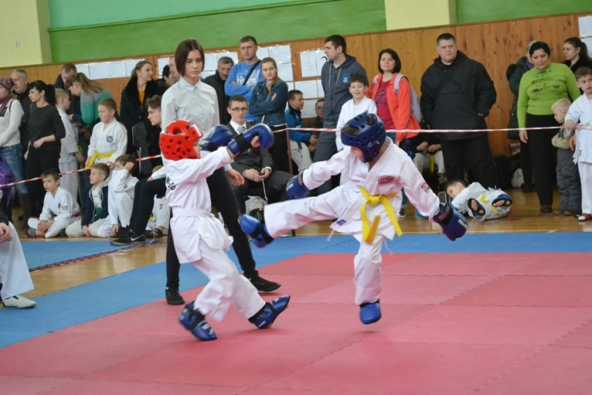 Республиканский турнир по таэквондо  прошел в Бобруйске