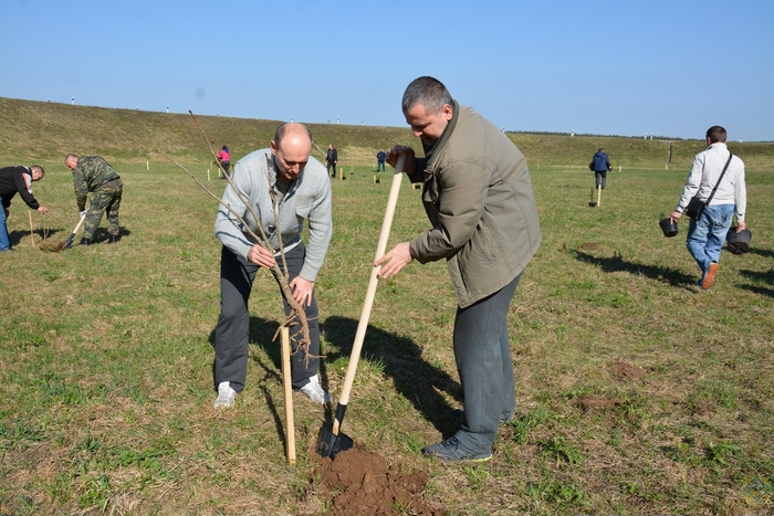 165 деревьев посадили спасатели к 165-летнему юбилею службы