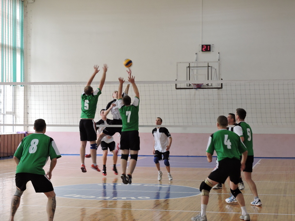 Чемпионат Госкомитета судебных экспертиз Беларуси по волейболу проходит в Могилеве. Фото