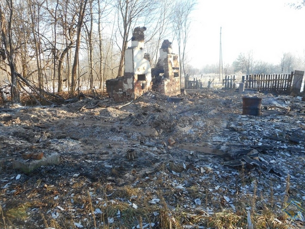 Личность сгоревшего в Белыничском районе человека устанавливают правоохранители