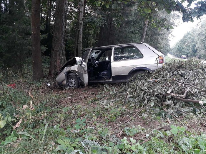 Могилевчанин на «Фольксвагене» съехал в кювет и врезался в дерево, он и пассажирка в больнице