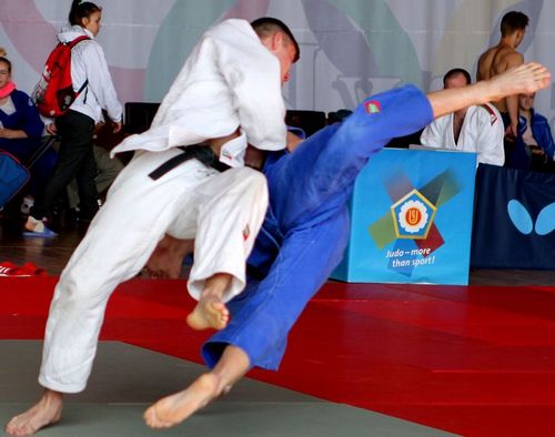 Представители Могилевщины заняли третье общекомандное место на первенстве Беларуси по дзюдо