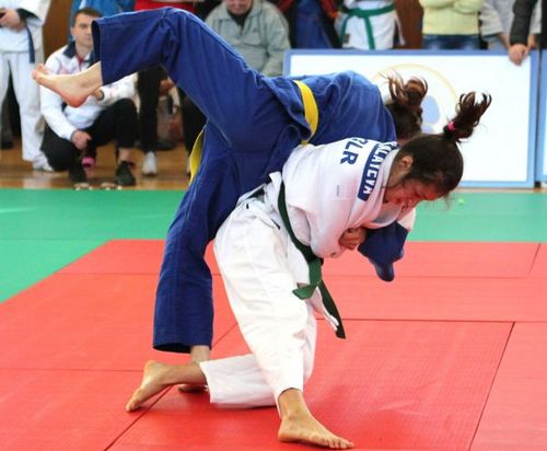 Представительницы Могилевщины заняли второе командное место на первенстве Беларуси по дзюдо