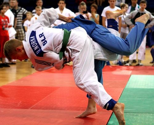 Команда Могилевской области стала победительницей республиканской спартакиады школьников по дзюдо