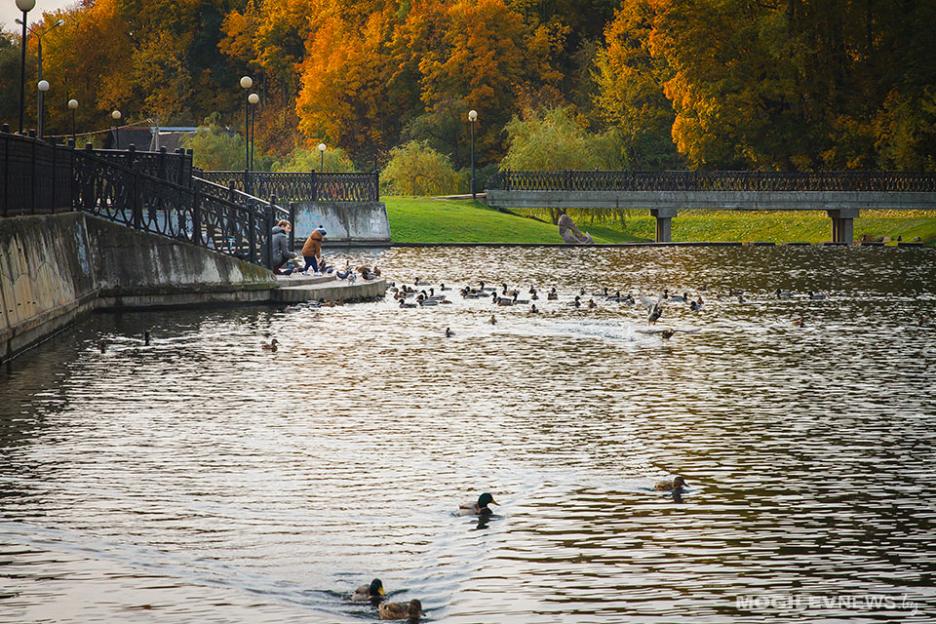 Погода на выходные: завершающий аккорд «бабьего лета» - тепло и без осадков