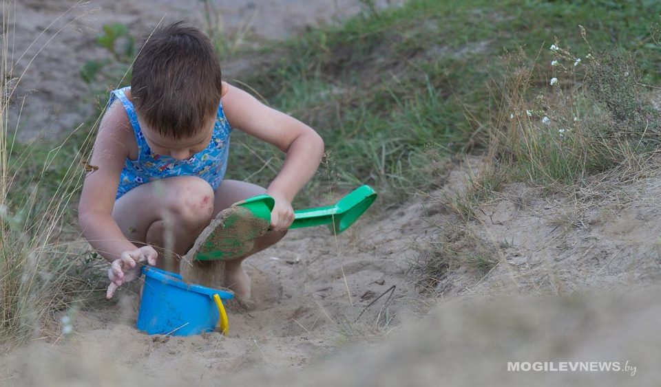 До +26 градусов, в среду дождь и гроза ожидается в первой половине недели в Могилевской области