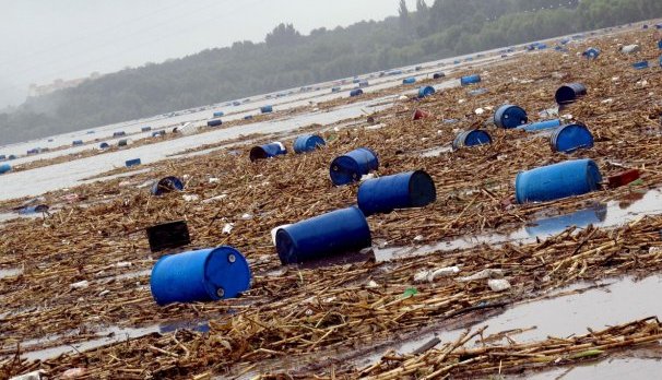 Несанкционированное размещение 300 тонн опасных отходов пресечено в Бобруйском районе