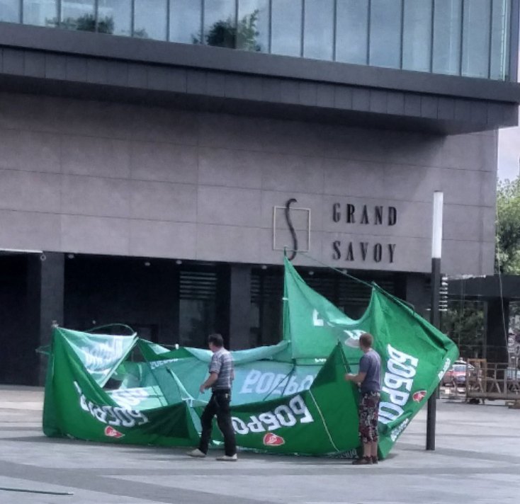 Девять населенных пунктов пострадали из-за ветра в Могилевской области