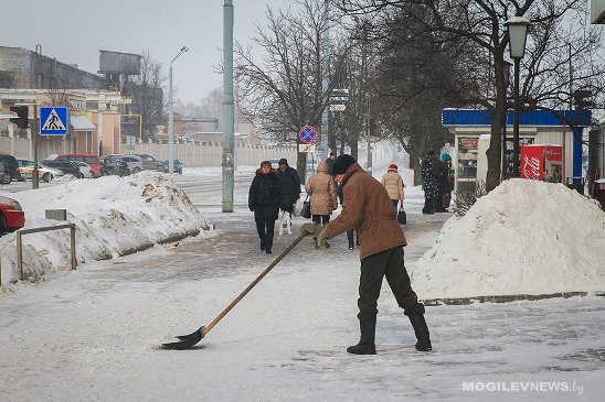 Нарушения почти в 40% случаев выявила санслужба при контроле проведения противогололедных мероприятий в Могилеве