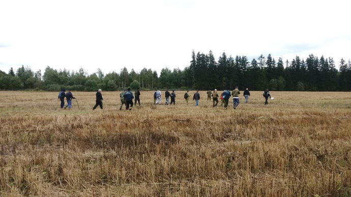 За выходные в лесах области заблудились четыре человека