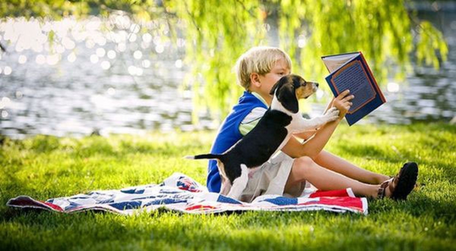 Проект "Культура выходного дня" реализуют библиотеки Могилева в летний период