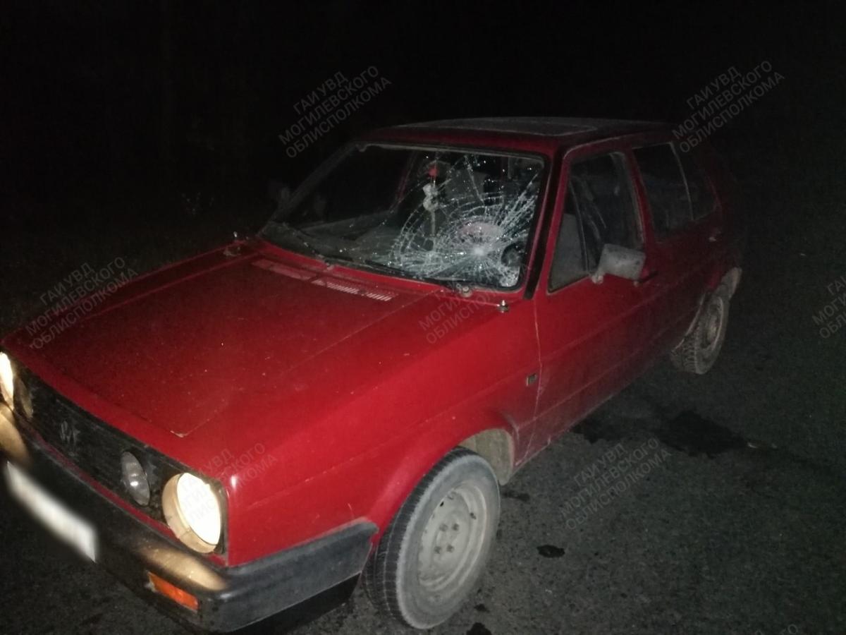 «Фольксваген» в Осиповичском районе сбил пешехода