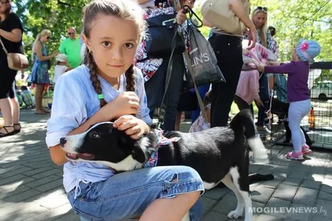 Акция в помощь бездомным животным пройдет в Могилеве 10 августа