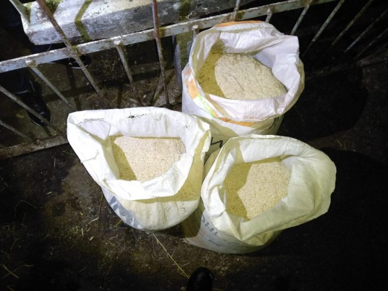 В Славгородском районе милиционеры помешали работнику молочно-товарного комплекса вывезти три мешка кормового концентрата