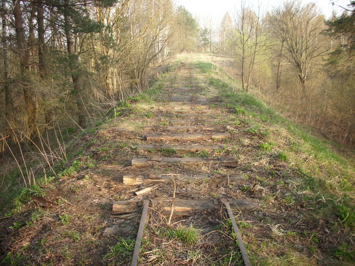 Рельсы с узкоколейной железной дороги похитили трое мужчин в Быховском районе